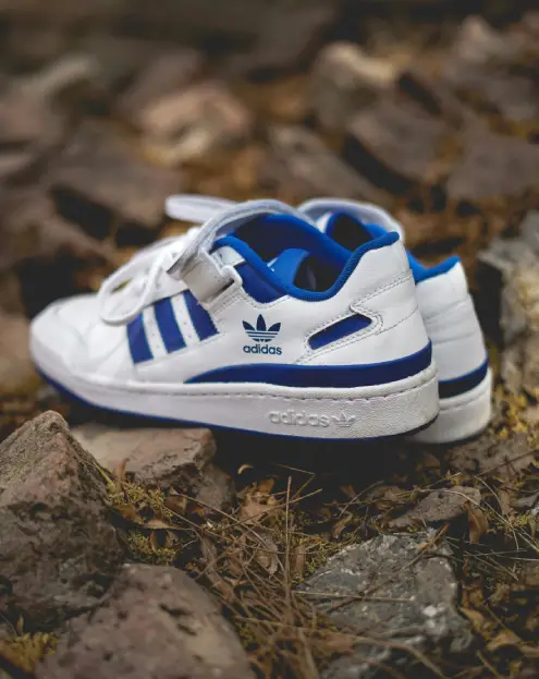 Clean shoe